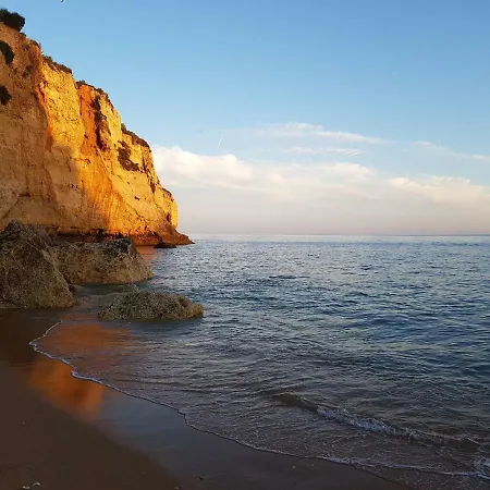 Morning Cascade Apartment