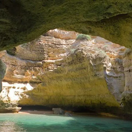 Apartment Morning Cascade